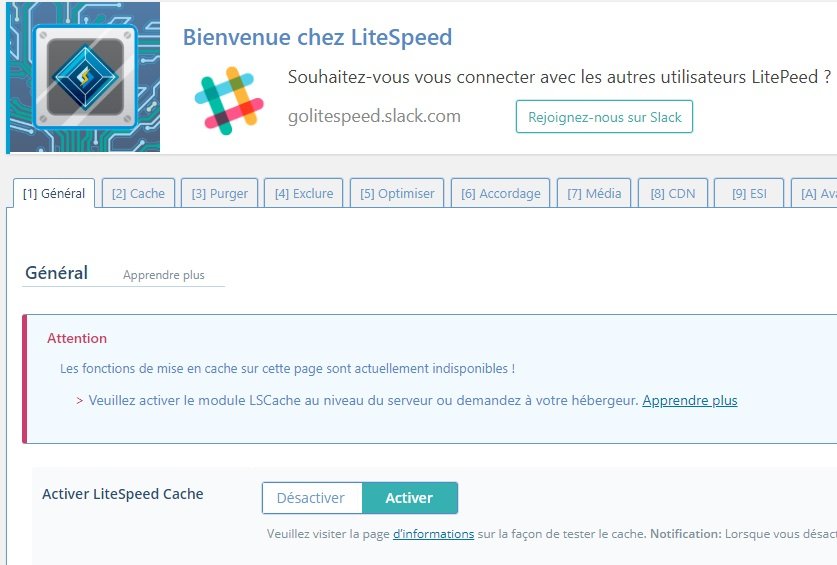 Le plugin litespeed cache