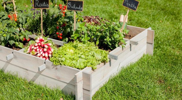 location de jardin : partager un potager